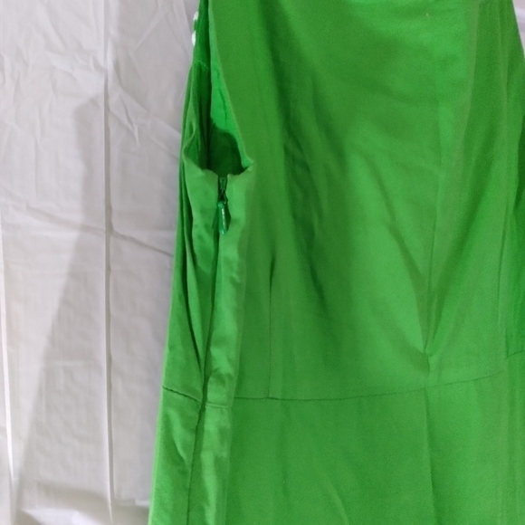 Lilly Pulitzer Green Paisley Embroidered Jacqueline Shift Dress - Picture 9 of 15